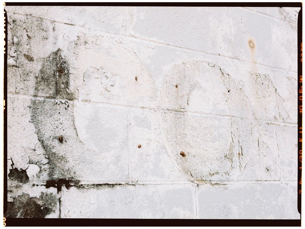 Mold Remediation service in Saginaw, MI